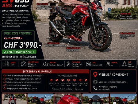 SUZUKI SV 650 2017 из Швейцарии — фото 1