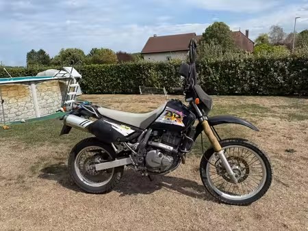 SUZUKI DR 650 1996 из Швейцарии — фото 1